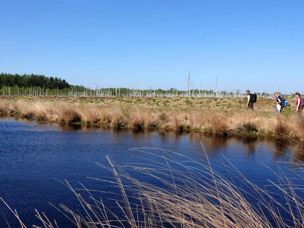 Drei Wandernde auf einem Pfad am Theikenmeer, umgeben von Schilf, Wasser und weiter Moorlandschaft.