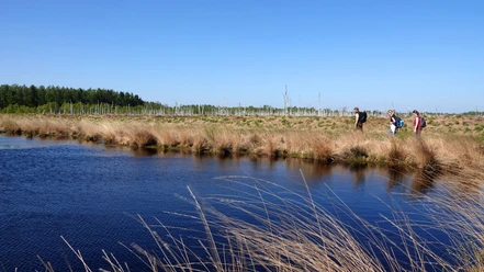 Naturschutzgebiet Theikenmeer bei Werlte - Wandern im Emsland ©Emsland Tourismus GmbH (11).jpg Drei Wandernde auf einem Pfad am Theikenmeer, umgeben von Schilf, Wasser und weiter Moorlandschaft.