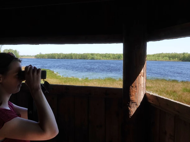 Person beobachtet mit Fernglas aus einer Holzplattform das Theikenmeer und die umliegende Moorlandschaft.
