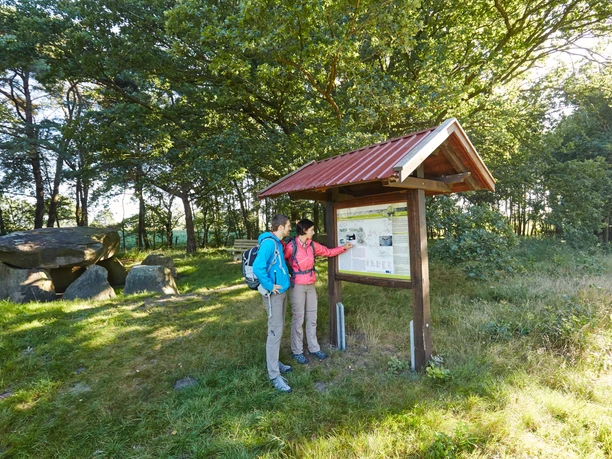 Großsteingräber bei Deymanns Mühle, Stavern – Wanderer unterwegs im Naturpark ©Naturpark Hümmling (174).jpg Zwei Wandernde betrachten eine Informationstafel bei den Großsteingräbern im Naturpark Hümmling.
