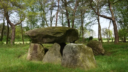 Großsteingräber bei Deymanns Mühle, Stavern ©Emsland Tourismus GmbH (4).jpg Großsteingrab aus Findlingen im Grünen, umgeben von Bäumen und Wiese bei Stavern im Emsland
