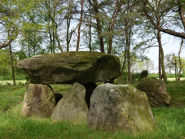 Großsteingräber bei Deymanns Mühle, Stavern ©Emsland Tourismus GmbH (4).jpg Großsteingrab aus Findlingen im Grünen, umgeben von Bäumen und Wiese bei Stavern im Emsland
