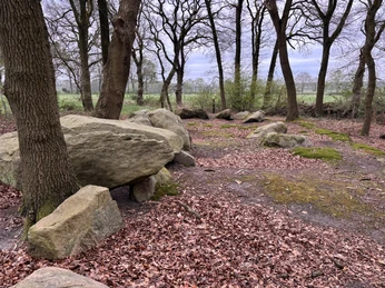Großsteingräber Deymanns Mühle in Stavern ©Naturpark Hümmling (2).jpeg