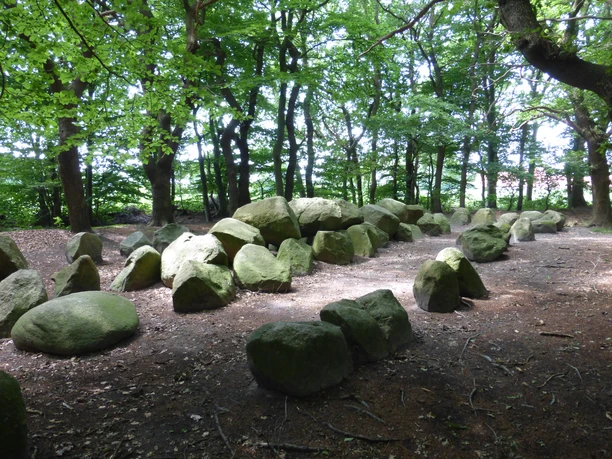 Großsteingrab Volbers Hünensteine (17a) ©Naturpark Hümmling (8).jpg Große, moosbedeckte Findlinge eines historischen Großsteingrabs im Wald des Naturparks Hümmling