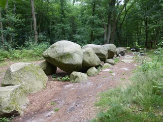 Großsteingrab De Hoogen Steener ©Naturpark Hümmling (2).jpg Große, moosbedeckte Findlinge des Großsteingrabs De Hoogen Steener im Wald des Naturparks Hümmling