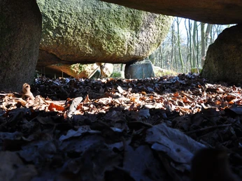 Steingrab De Hoogen Steener nördlich von Werlte (Station 20a) ©Emsland Tourismus GmbH (8).jpg