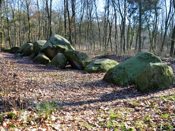 Steingrab De Hoogen Steener nördlich von Werlte (Station 20a) ©Emsland Tourismus GmbH (6).jpg Große von Moos bedeckte Findlinge des Steingrabes De Hoogen Steener im lichten Laubwald bei Werlte.
