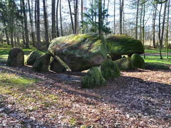 Großsteingrab Poldenhünensteine (Station 20b) nahe Werlte ©Emsland Tourismus GmbH (3).jpg