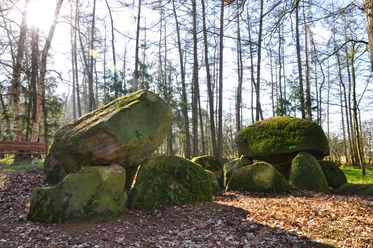 Große mit Moos bewachsene Steine einer jungsteinzeitlichen Grabanlage im lichten Wald bei Werlte