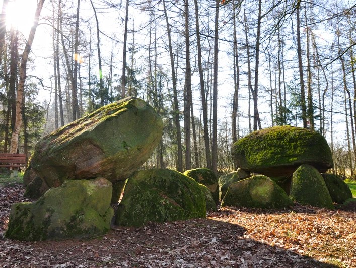 Großsteingrab Poldenhünensteine (Station 20b) nahe Werlte ©Emsland Tourismus GmbH (9).jpg