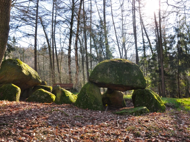 Met mos begroeide zwerfkeien van een historisch megalithisch graf in het open bos bij Spahnharrenstätte.