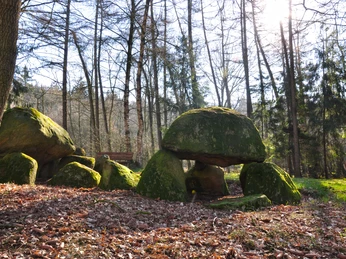 Großsteingrab Poldenhünensteine (Station 20b) nahe Werlte ©Emsland Tourismus GmbH (5).jpg