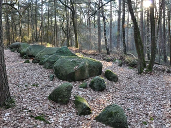 Großsteingrab in den Klöbertannen, Werpeloh (Station 18b) ©Emsland Tourismus GmbH (1).jpg