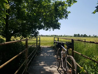 Graveltour zu den Naunhofer Seen