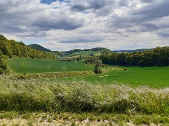 Grüne Hödeken