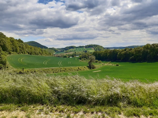 Grüne Hödeken
