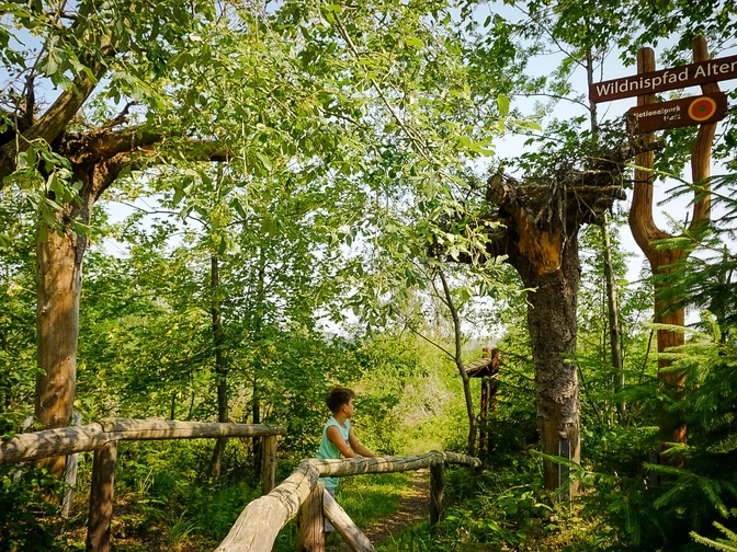 Wildnispfad Altenau