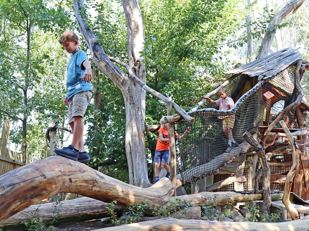 Un garçon se tient en équilibre sur un large tronc d'arbre, deux autres enfants le suivent.