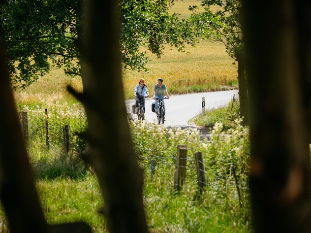 Fietsers op de Düte-tocht Fietsers op de Düte-tocht, over natuurlijke paden door velden en groene ruimten.