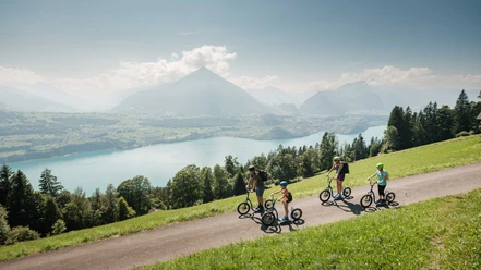niederhorn-trotti-familie-unterwegs-thunersee.jpg
