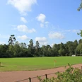 Sportplatz Bispingen.jpg Ein weitläufiger Sportplatz mit gepflegtem, grünen Rasen, umgeben von dichten Bäumen und hellem Himmel. Ein idealer Ort für Sport und Erholung in natürlicher Umgebung.