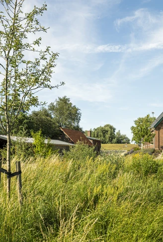 Das Timmann in Stelle-Rosenweide Das Timmann in Stelle-Rosenweide