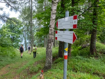 Stockalperweg oberhalb Bognanco