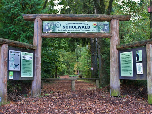 Schulwald Tetenhusen
