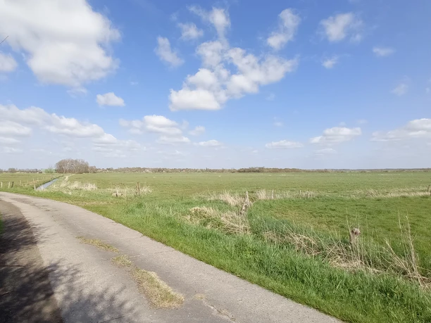 Natur pur im Koog