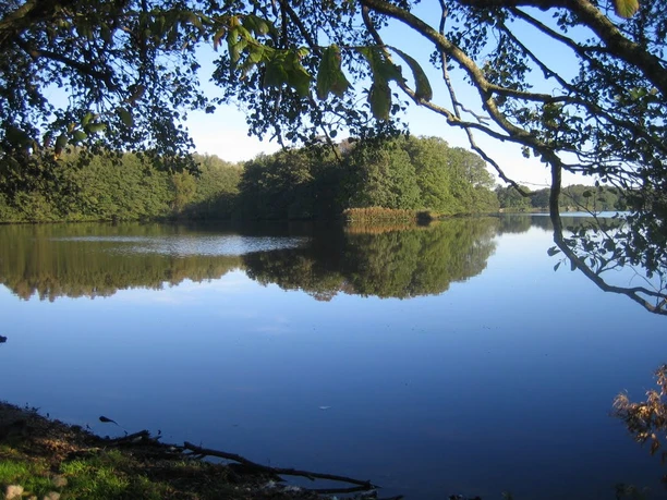 Sankelmarker See