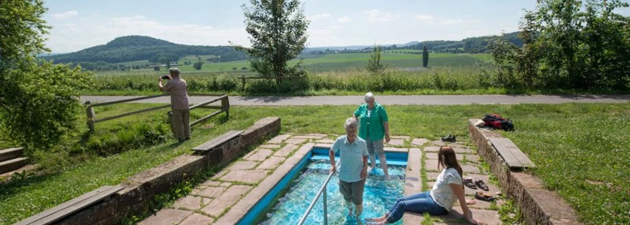 2017-dissen-blafield-frei-7 - Stadt Gudensberg