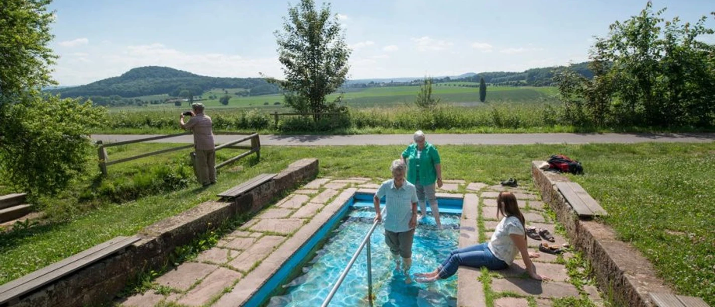 2017-dissen-blafield-frei-7 - Stadt Gudensberg