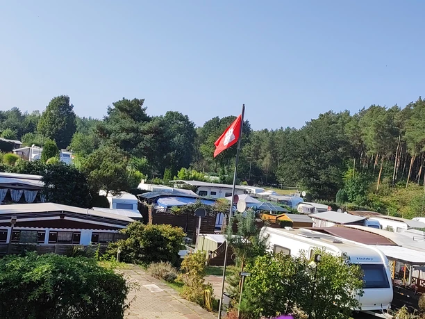 Campingplatz Am Waldschwimmbad_Stellplatz Wohnwagen umgeben von Bäumen auf einem Campingplatz im Grünen.