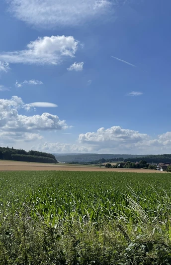 Aussicht auf die Felder vom Estenbergrundweg 1