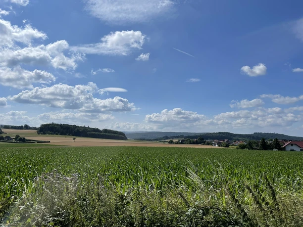Aussicht auf die Felder vom Estenbergrundweg 1