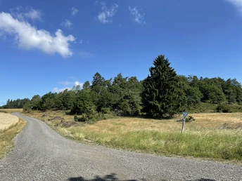 Naturdenkmal auf dem Estenbergrundweg 1
