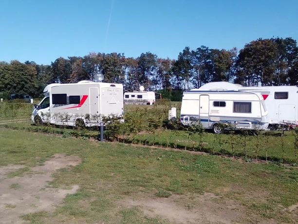 Natur-Campingplatz Salem_Wiese Zwei Wohnmobile stehen auf einem grünen Stellplatz, umgeben von Bäumen und Hecken bei klarem Himmel.