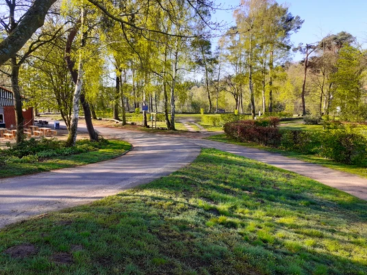 Natur-Campingplatz Salem_Seeplatz Ein Campingplatz mit grasbewachsenen Wegen unter Bäumen in natürlicher Umgebung.