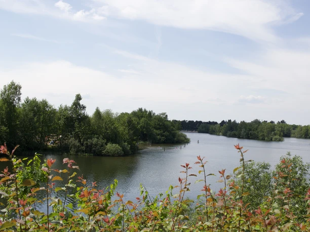 Campingplatz Badeinsel Ernst und Christa Pfaff_Seeblick Blick vom Campingplatz aus auf einen ruhigen See, umgeben von grünen Bäumen unter einem blauen Himmel.