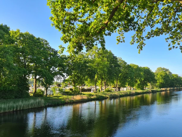 Camping Lanzer See_Stellplätze Stellplätze am Lanzer See, umgeben von grünen Bäumen am Wasser.