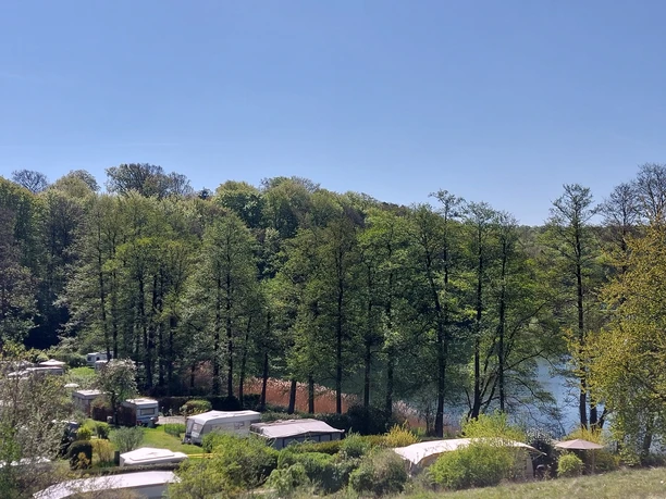Campingplatz Schmidt am See_Stellplätze Wohnwagen und Wohnmobile stehen unter hohen Bäumen an einem See, umgeben von Natur.