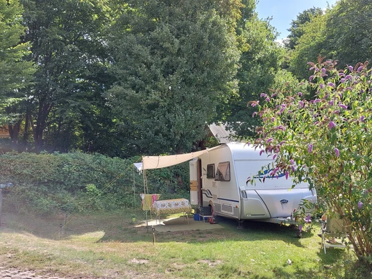 Campingplatz Schmidt am See_Wohnmobil Ein weißes Wohnmobil mit ausgebreitetem Sonnensegel steht auf einem Campingplatz neben einem blühenden Strauch, umgeben von vielen Bäumen.