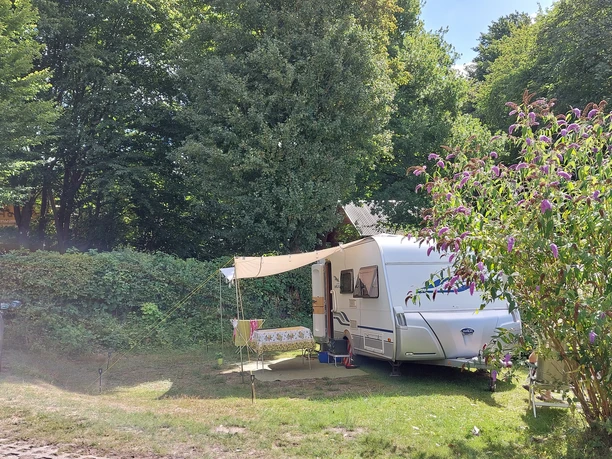 Campingplatz Schmidt am See_Wohnmobil Ein weißes Wohnmobil mit ausgebreitetem Sonnensegel steht auf einem Campingplatz neben einem blühenden Strauch, umgeben von vielen Bäumen.