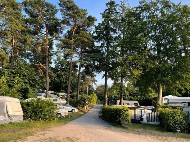 Camping- und Mobilheim am Lütauer See_Stellplätze Wohnwagen und Zelte unter schattigen Bäumen auf einem ruhigen Campingplatz mit einem Kiesweg.