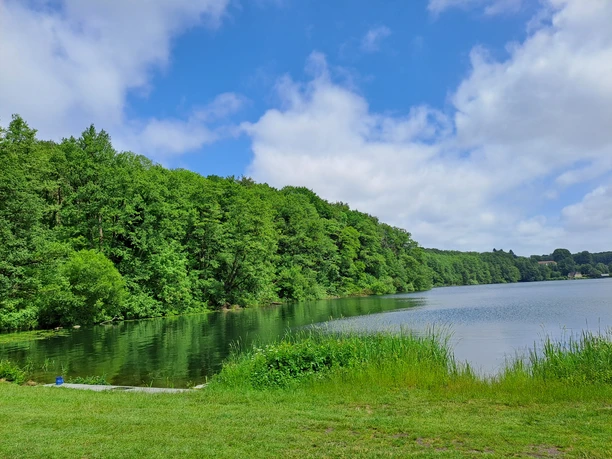 Campingplatz Schwalkenberg_Aussicht Ein See mit klarem Wasser, umgeben von saftigem Grün und Bäumen unter einem blauen Himmel mit Wolken.