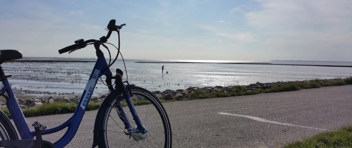 Mietstation Westküste