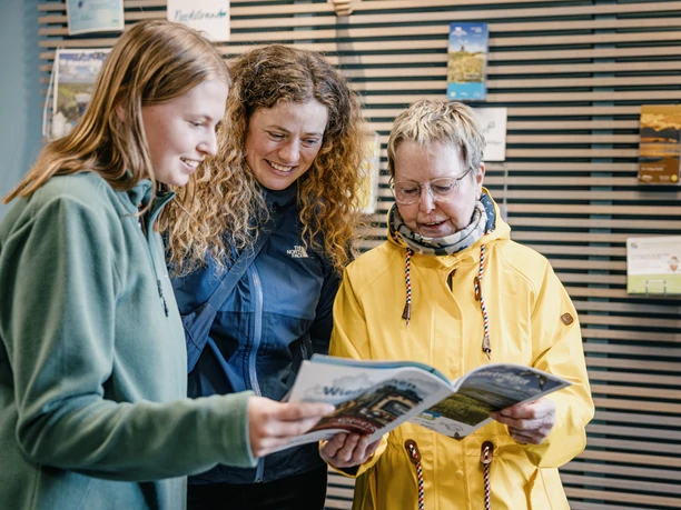 Nordfriesland_Nordstrand_MR_240316_104