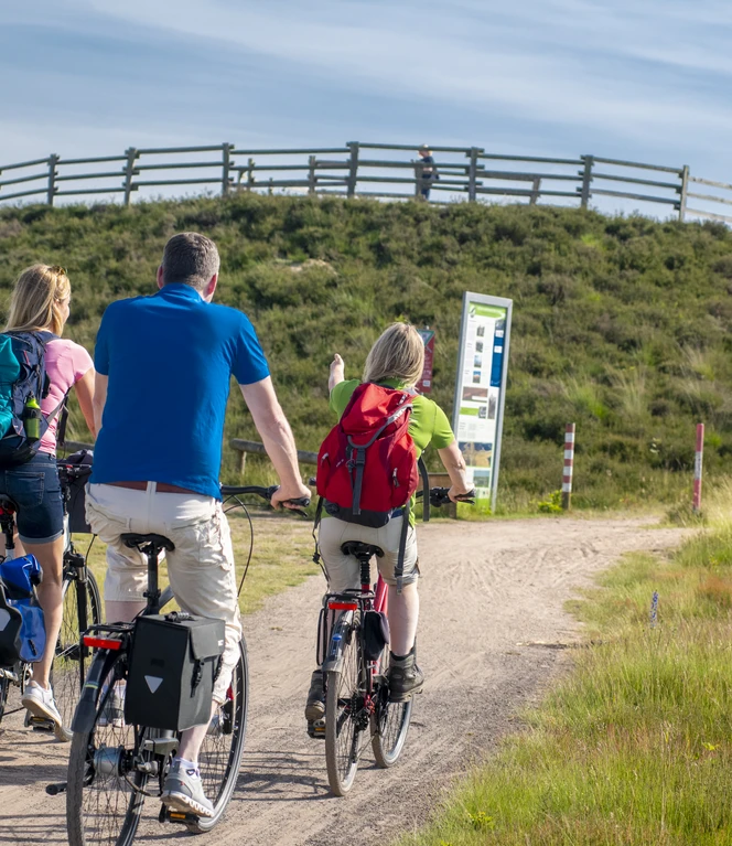 Aussichtshügel im Dalum-Wietmarscher Moor ©TMN GmbH, Sabine Braun Fotografie-82.jpg