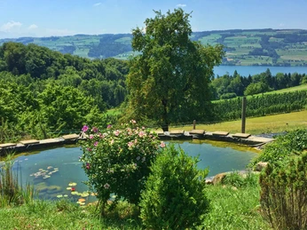 Budliger's Moscht: Aussicht Erlosenblick-Hof