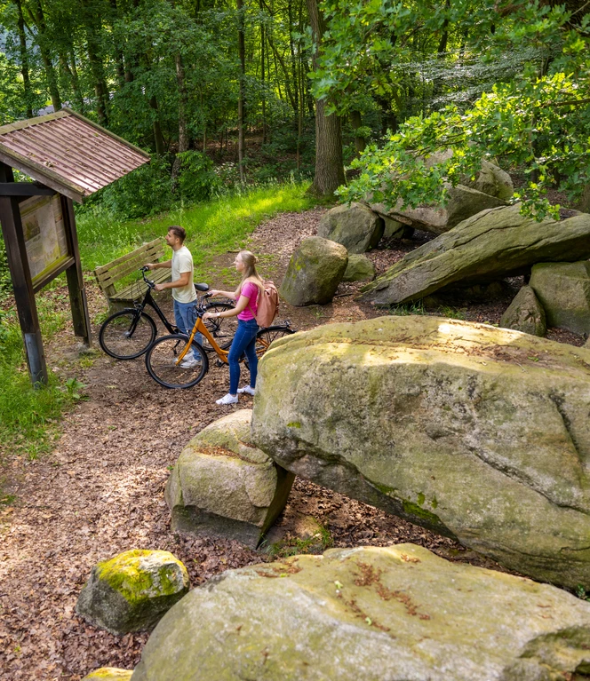 Großsteingrab auf Bruneforths Esch, Stavern – Radfahren Hümmling ©Emsland Tourismus GmbH (1).jpg